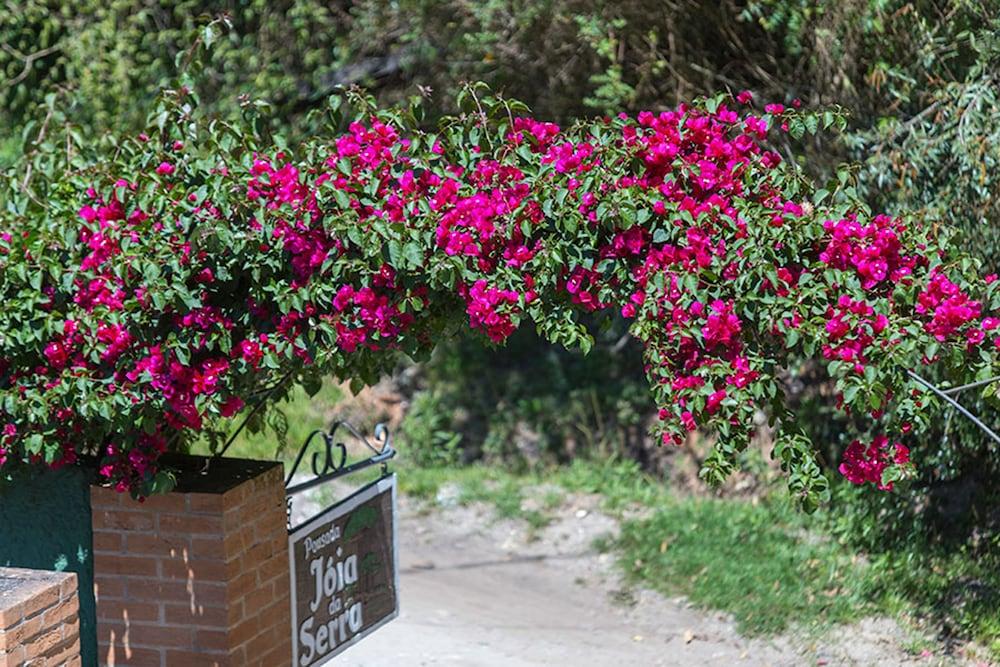 Pousada Joia Da Serra By Hotel Platanus Campos do Jordão Εξωτερικό φωτογραφία